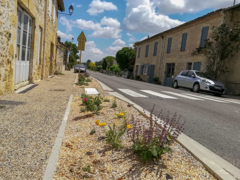 Piétonnier bicouche coloré et jeunes plantations