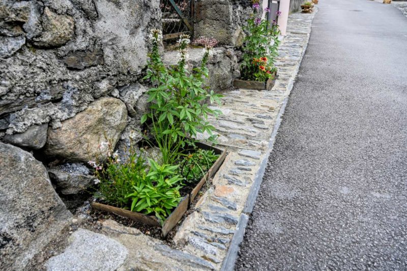 Détail pied de bâti avec herrade et plantations