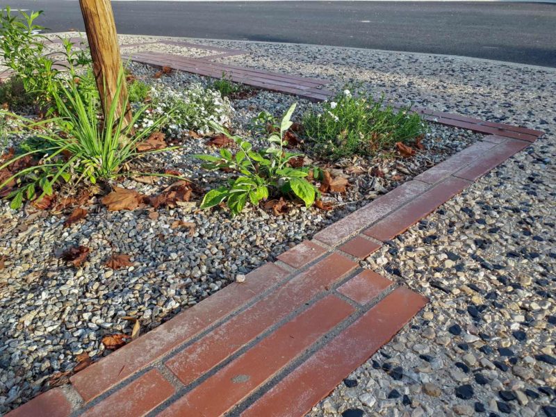 Trame Art déco en briques et plantations sur gravier en pied d'arbres